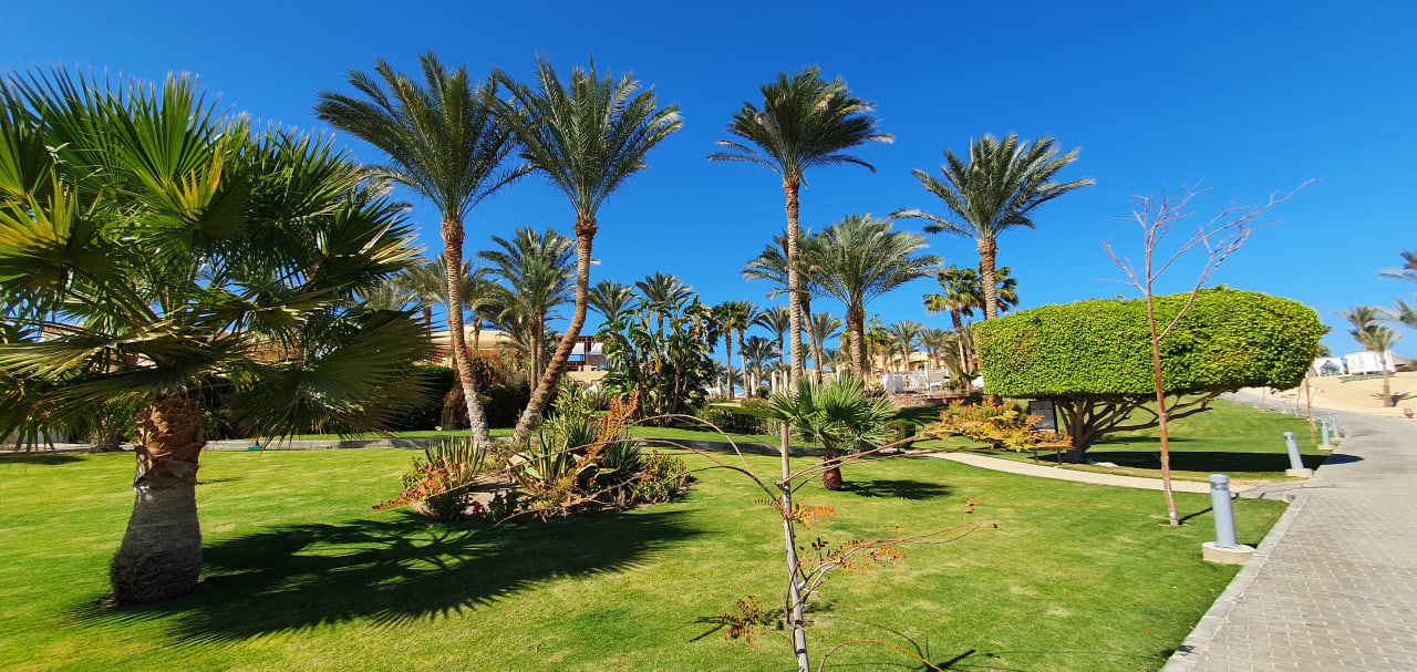 Gartenanlage Steigenberger Coraya Beach - Adults only