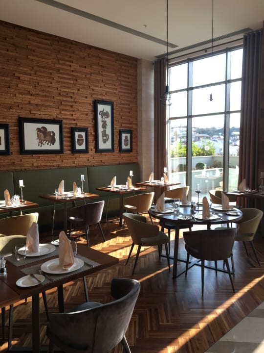 Gastro Acanthus Cennet Barut Collection