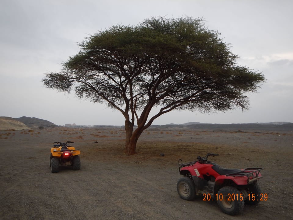Quad Safari z Motorata Three Corners Happy Life Beach Resort