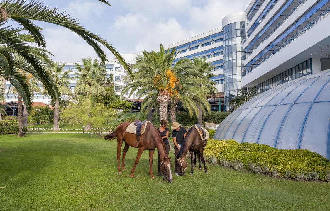 Sport & Freizeit Sunrise Resort Hotel