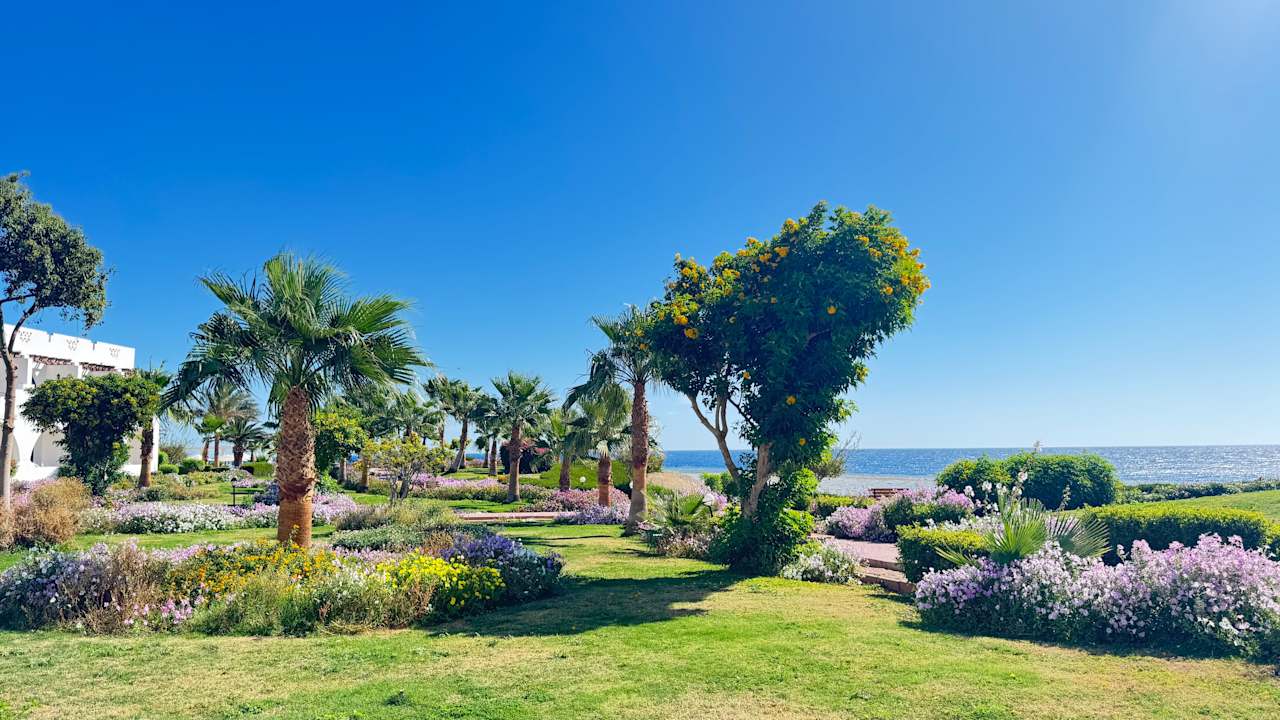 Gartenanlage Three Corners Equinox Beach Resort