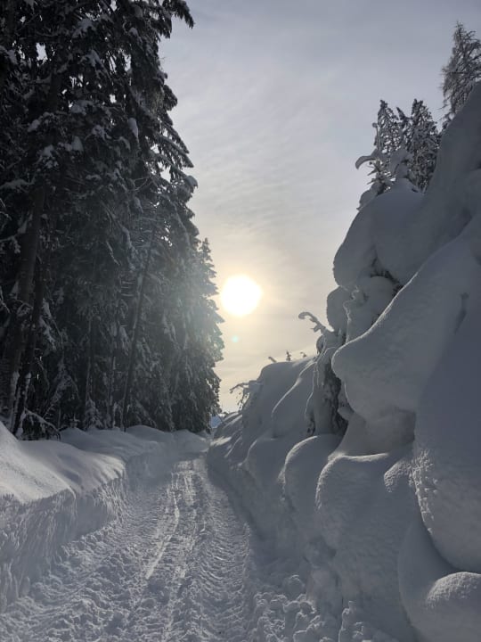 Gartenanlage PRIESTEREGG Premium ECO Resort