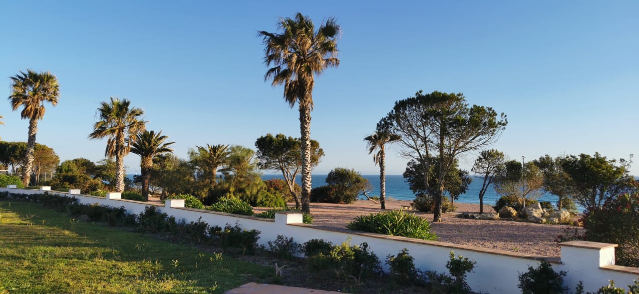 Ausblick Fuerte Conil-Resort