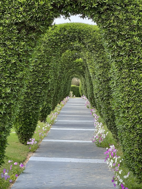 Gartenanlage Hotel JAZ Makadi Star & Spa