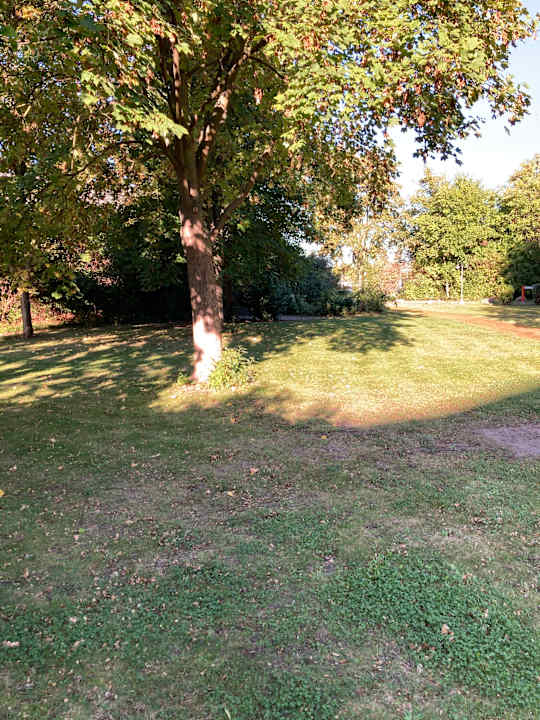 Gartenanlage Best Western Parkhotel Brehna - Halle