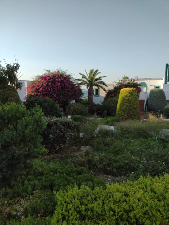 Gartenanlage Mastichari Bay Hotel