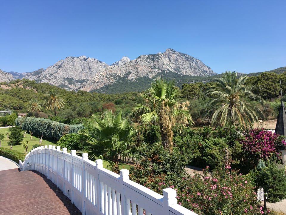 Gartenanlage Crystal Prestige Elite