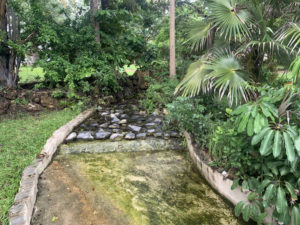 Gartenanlage Baobab Beach Resort & Spa