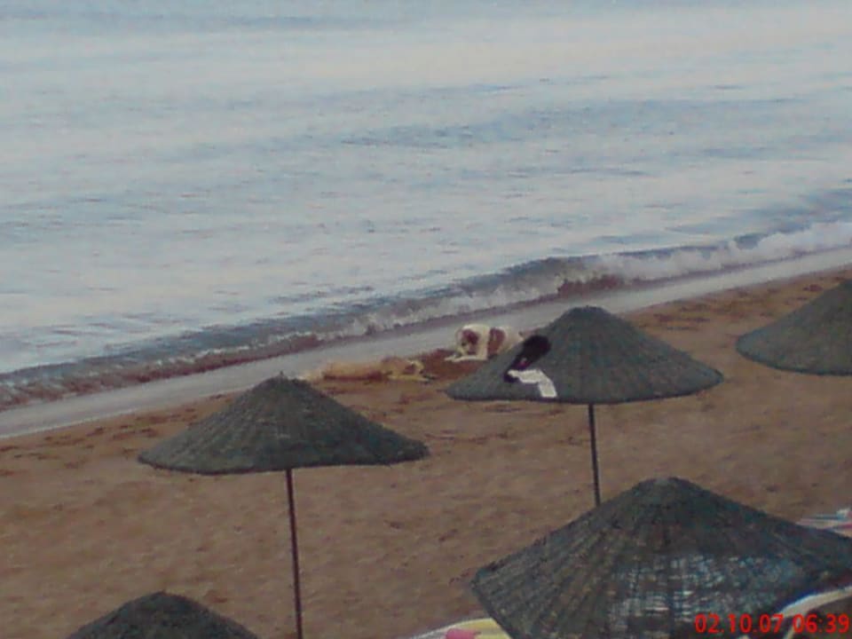 Strand Aska Hotel Just in Beach