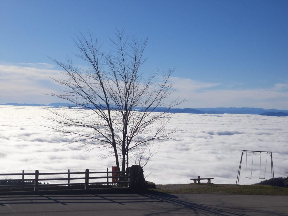 Megla v dolini Gästehaus Pr Ambružarju