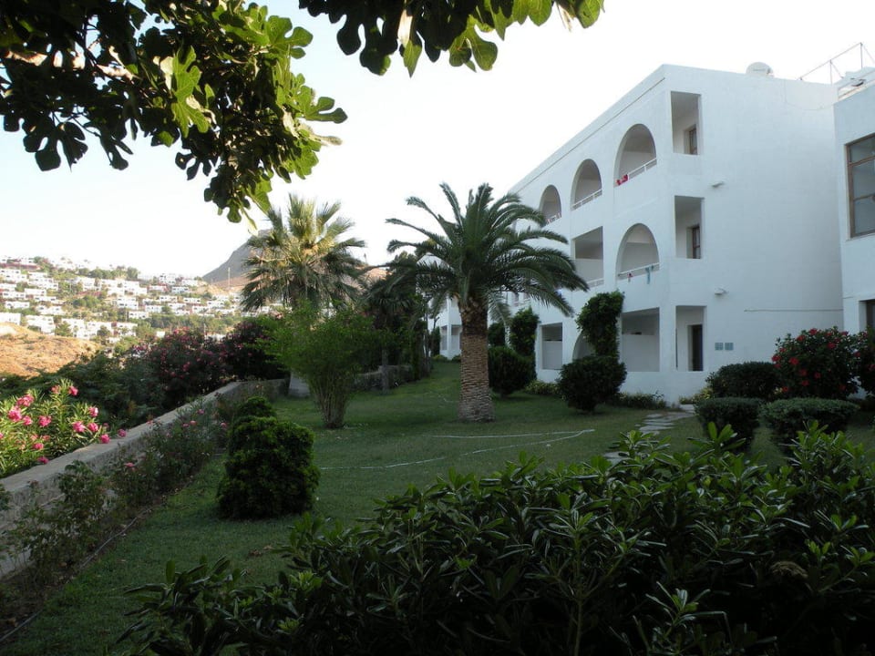 Ogród hotelowy Woxxie Hotel