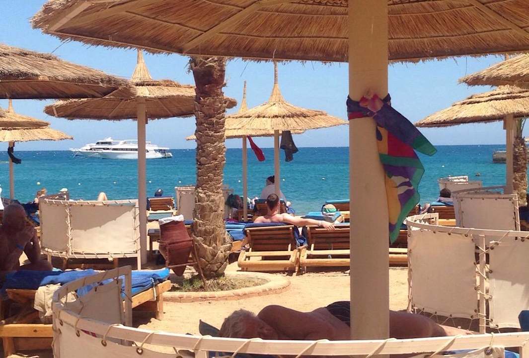 Blick zum Meer Beach Albatros Resort
