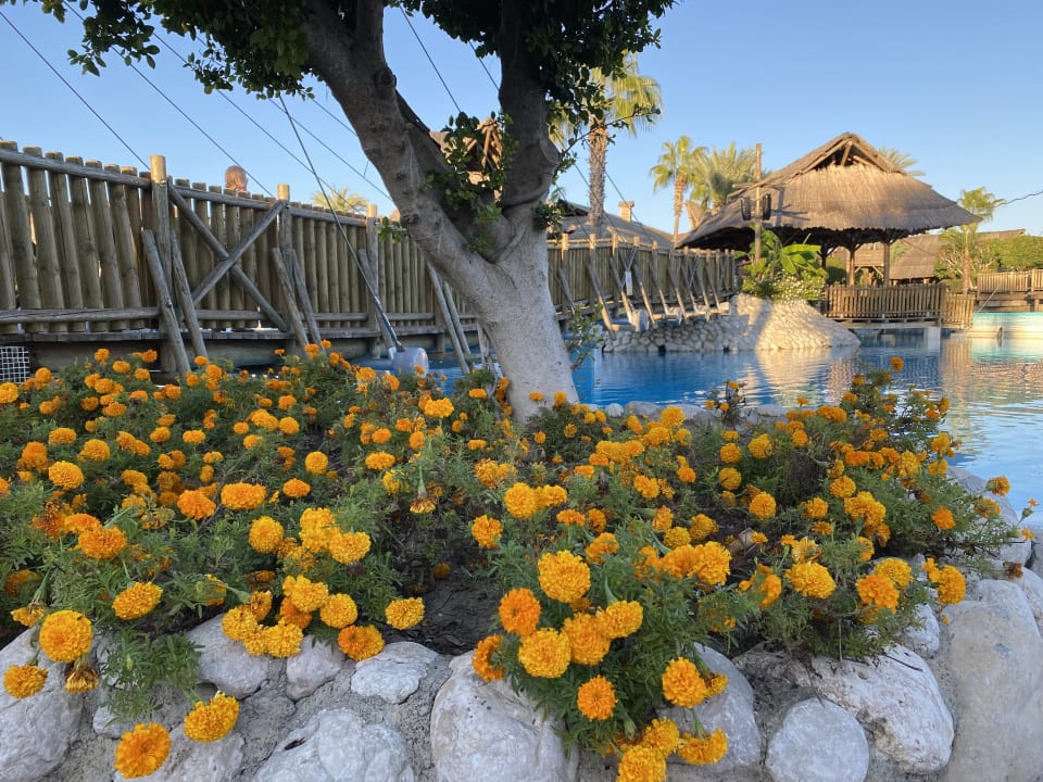 Gartenanlage AQI Pegasos World