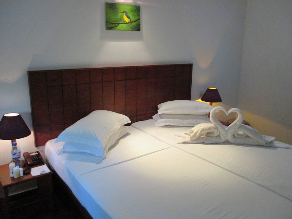 Bett Camellia Resort & Spa