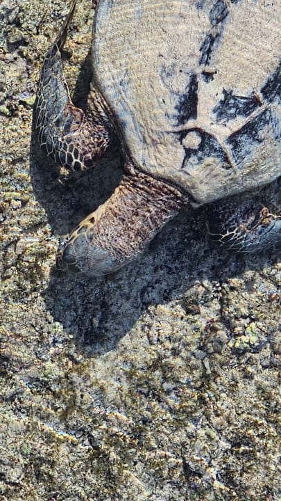 Strand Casa Mare Resort