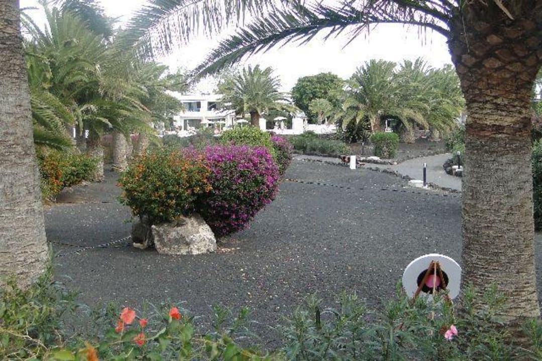 Die Anlage Relaxia Olivina