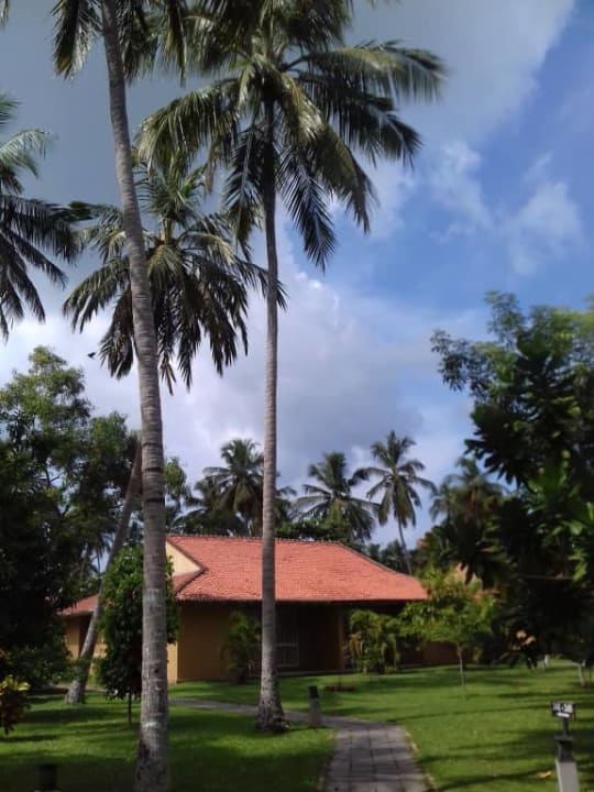 Club Palm Bay Club Palm Bay