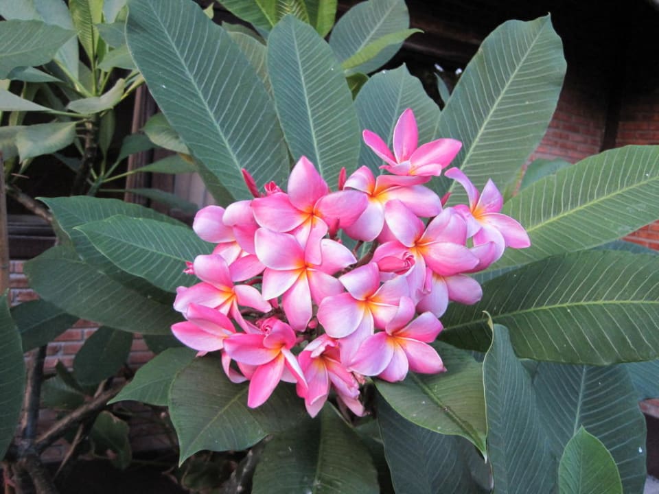 Einfach schön Hotel The Cottage