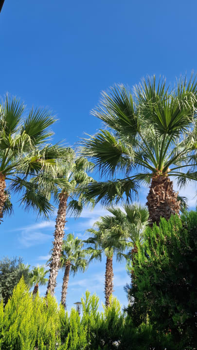 Gartenanlage Nirvana Mediterranean Excellence