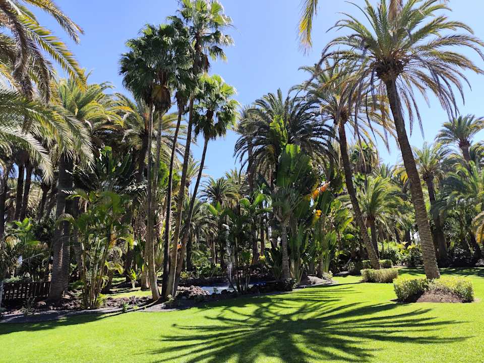 Gartenanlage Hotel Riu Palace Oasis