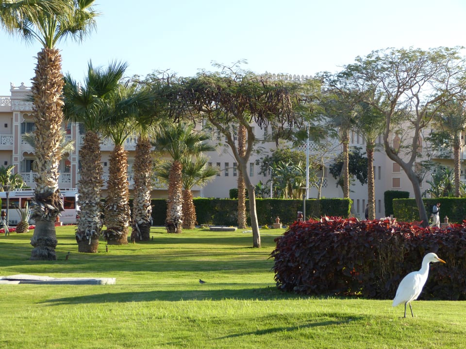 Gartenanlage Beach Albatros Resort