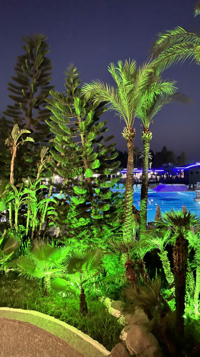 Pool Hotel Delphin Diva