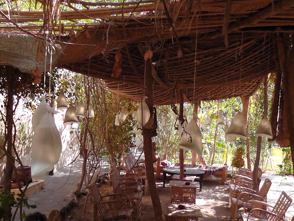 Terrasse Zad El Mosafer Ecolodge