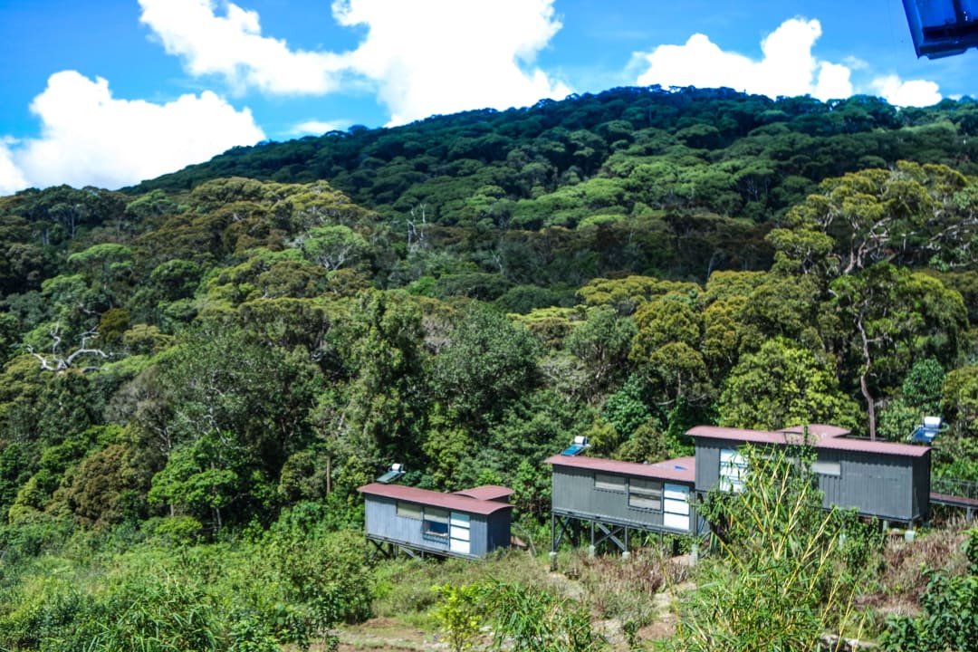 Eco Chalets  The Rainforest Ecolodge