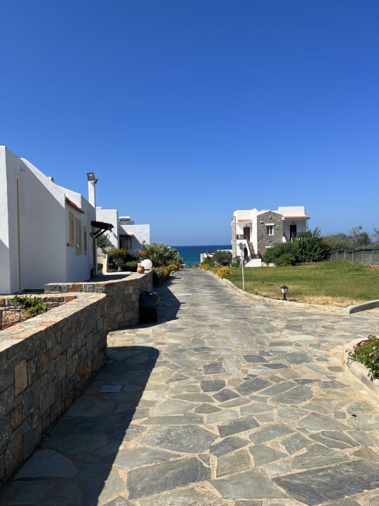 Ausblick Alexander Beach Hotel & Village Resort
