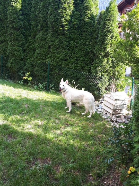 Sonstiges Müllers Ferienhaus Salzburgerland