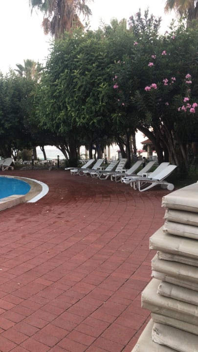 Pool Hotel Defne Star