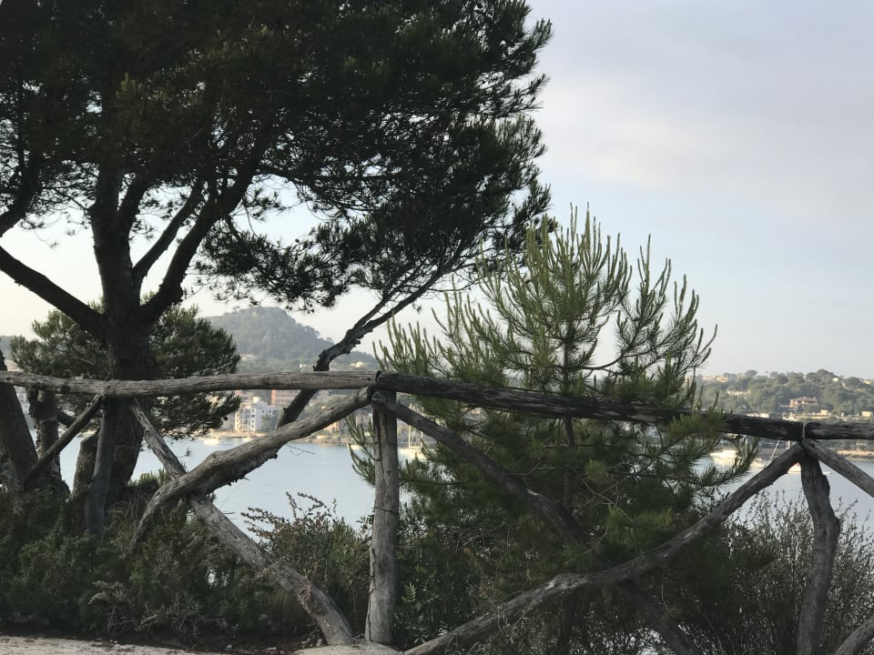 Ausblick Iberostar Selection Jardín del Sol Suites