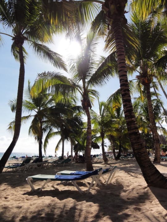 Hotelstrand Hotel Viva Dominicus Beach by Wyndham - All Inclusive Resort