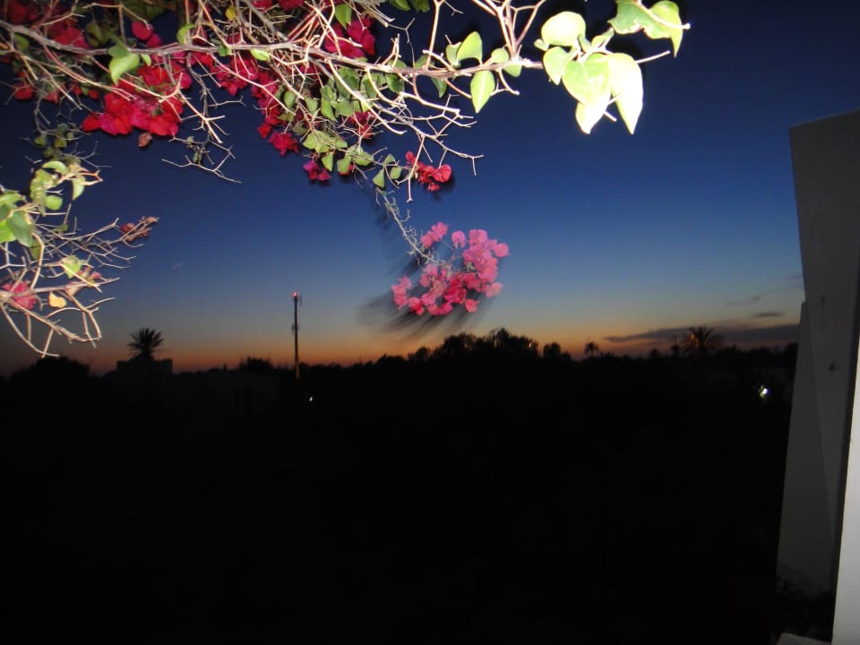 Sonnenuntergang auf dem balkon Hotel El Mouradi Djerba Menzel