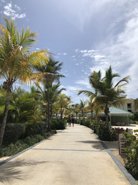 Gartenanlage Ocean El Faro
