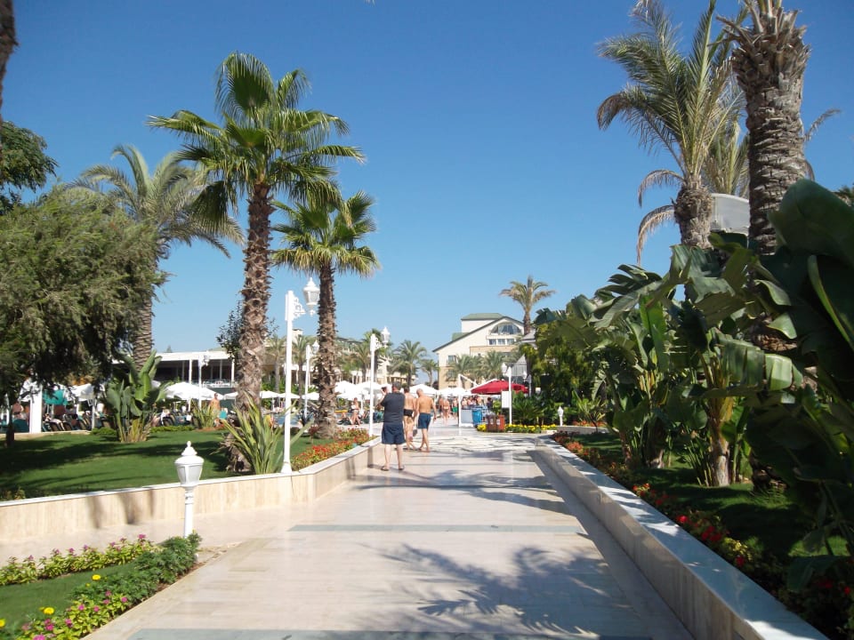 Weg zum Pool Dobedan Exclusive Hotel And Spa