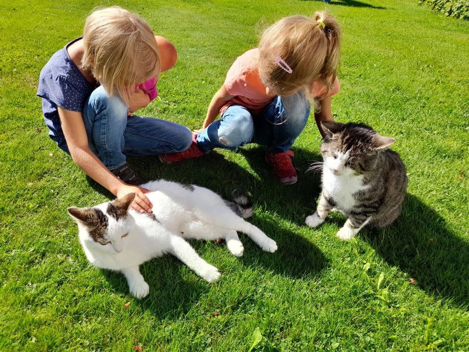 Gartenanlage Ferienhof Bader