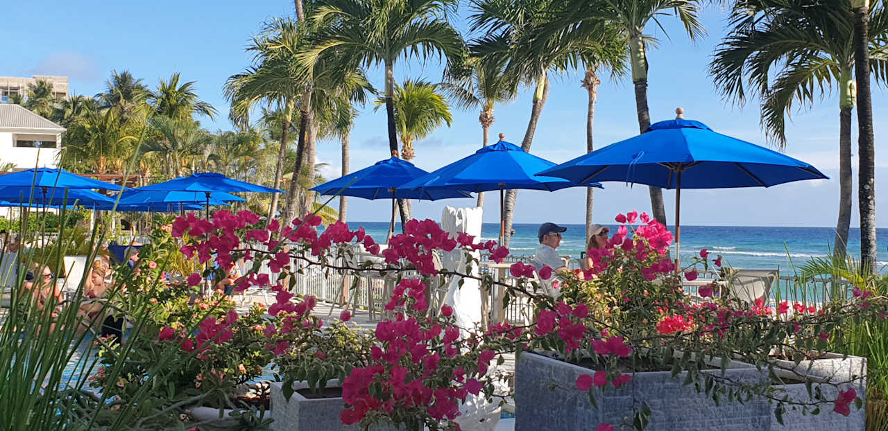 Gartenanlage Coconut Court Beach Hotel