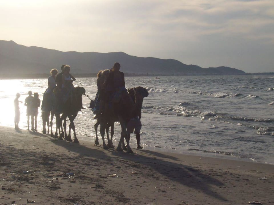 Plaża Hotel Medi Sea