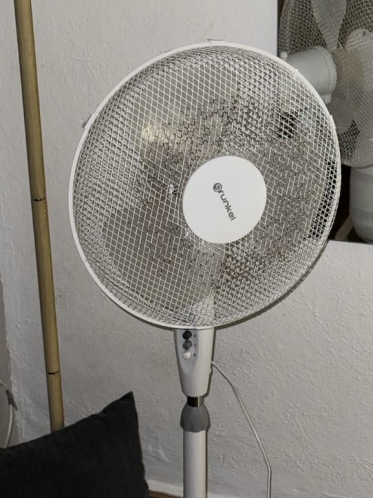 Zimmer Tropical Nights 3