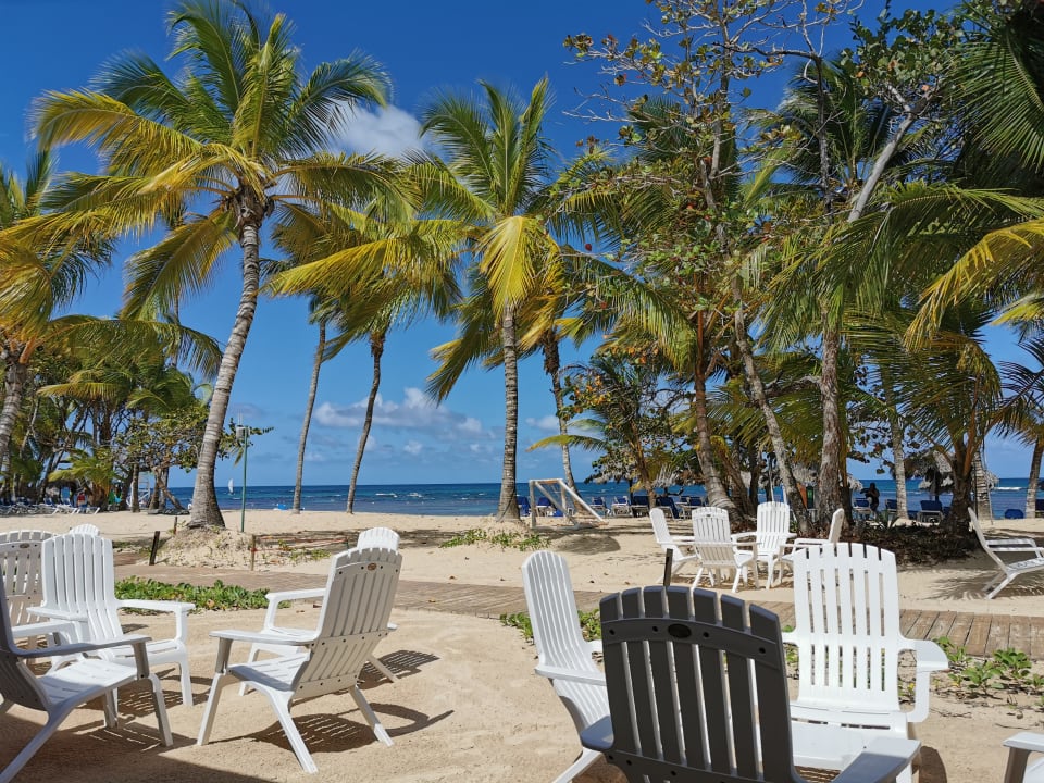 Gastro Bahia Principe Grand El Portillo