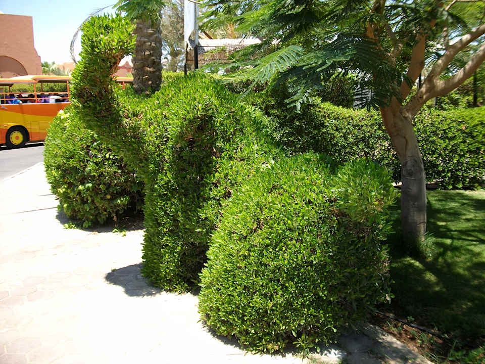 Gartenanlage Jaz Makadi Oasis Resort