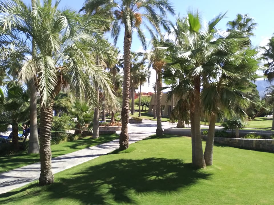 Gartenanlage Calimera Sirens Beach