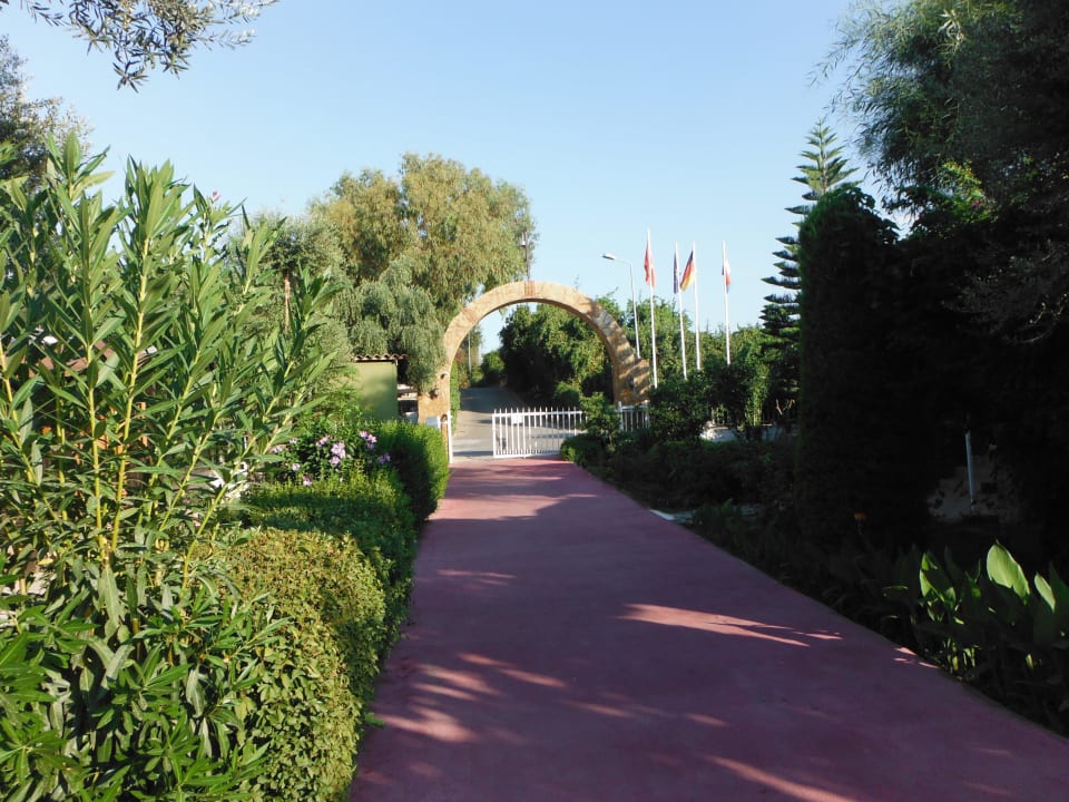Haupteingang Side Altinkum Hotel