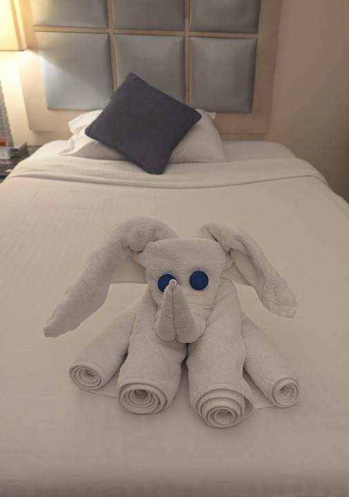 Zimmer Tropitel Sahl Hasheesh