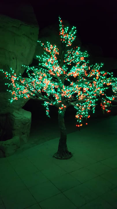 Anlage am Pool Three Corners Happy Life Beach Resort