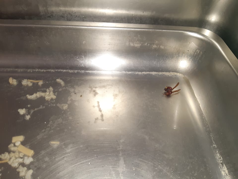 Gastro Hotel The Holiday Resort