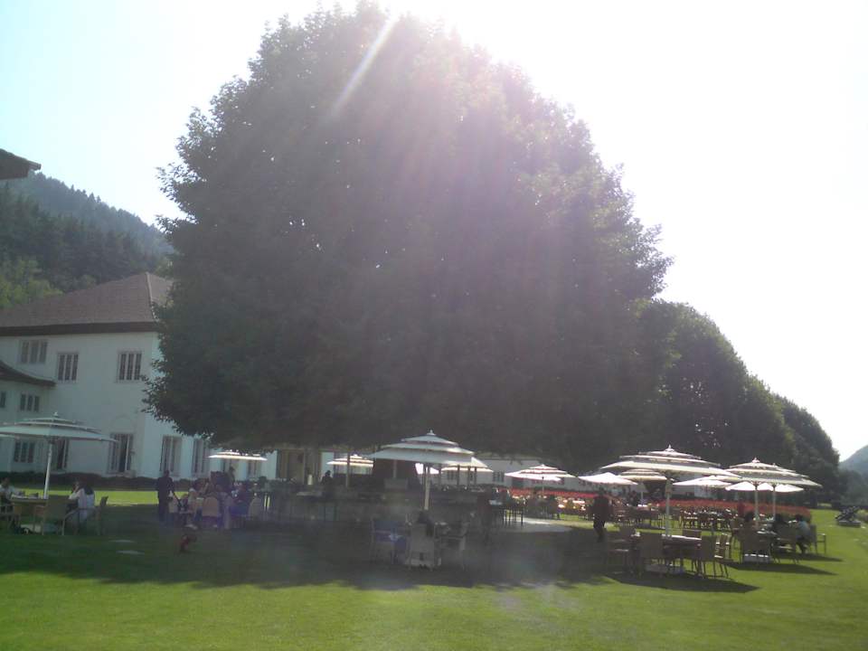 Büffet um dem Baum herum Hotel The Lalit Grand Palace Srinagar