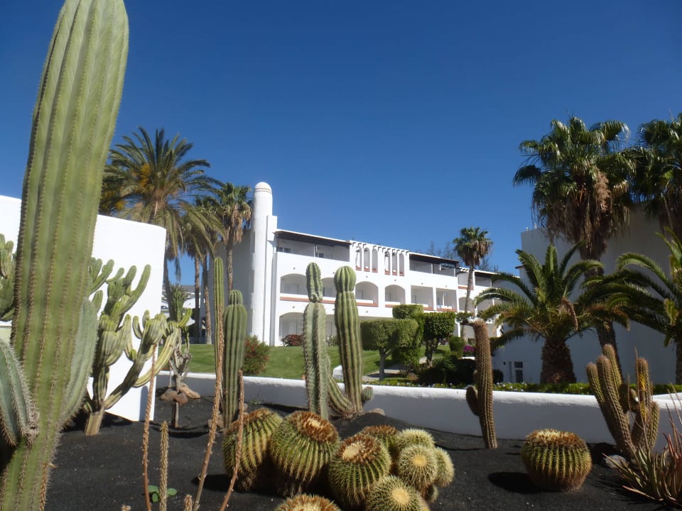 Gartenanlage mit Hotelansicht Club Jandia Princess