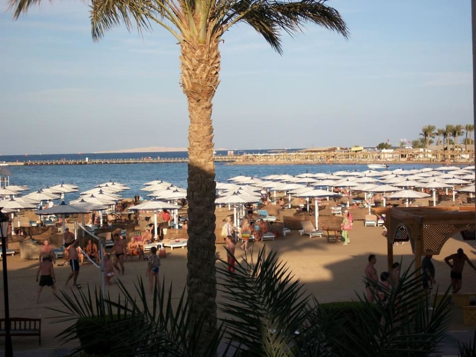 Blick vom Balkon 3000 Block Pickalbatros Dana Beach Resort - Hurghada